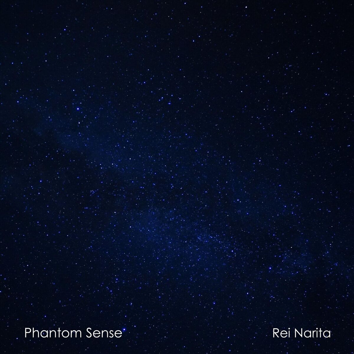 Album cover of Phantom Sense