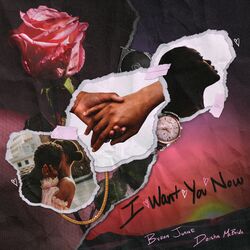 Cover of I Want You Now
