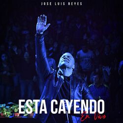 Cover of Esta Cayendo (En Vivo)