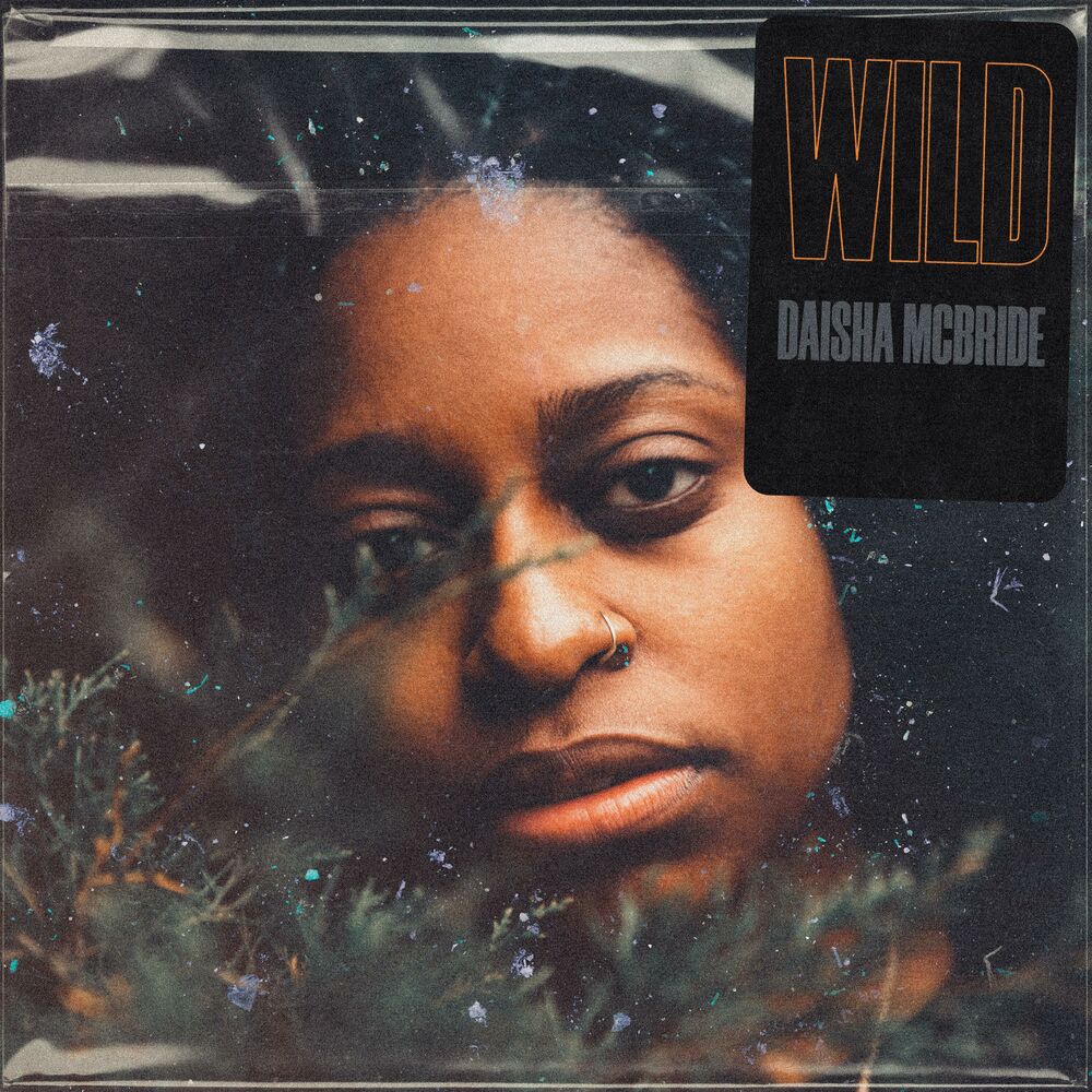 Picture of Wild