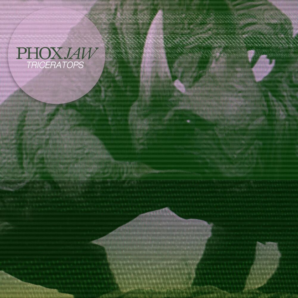 Picture of Triceratops