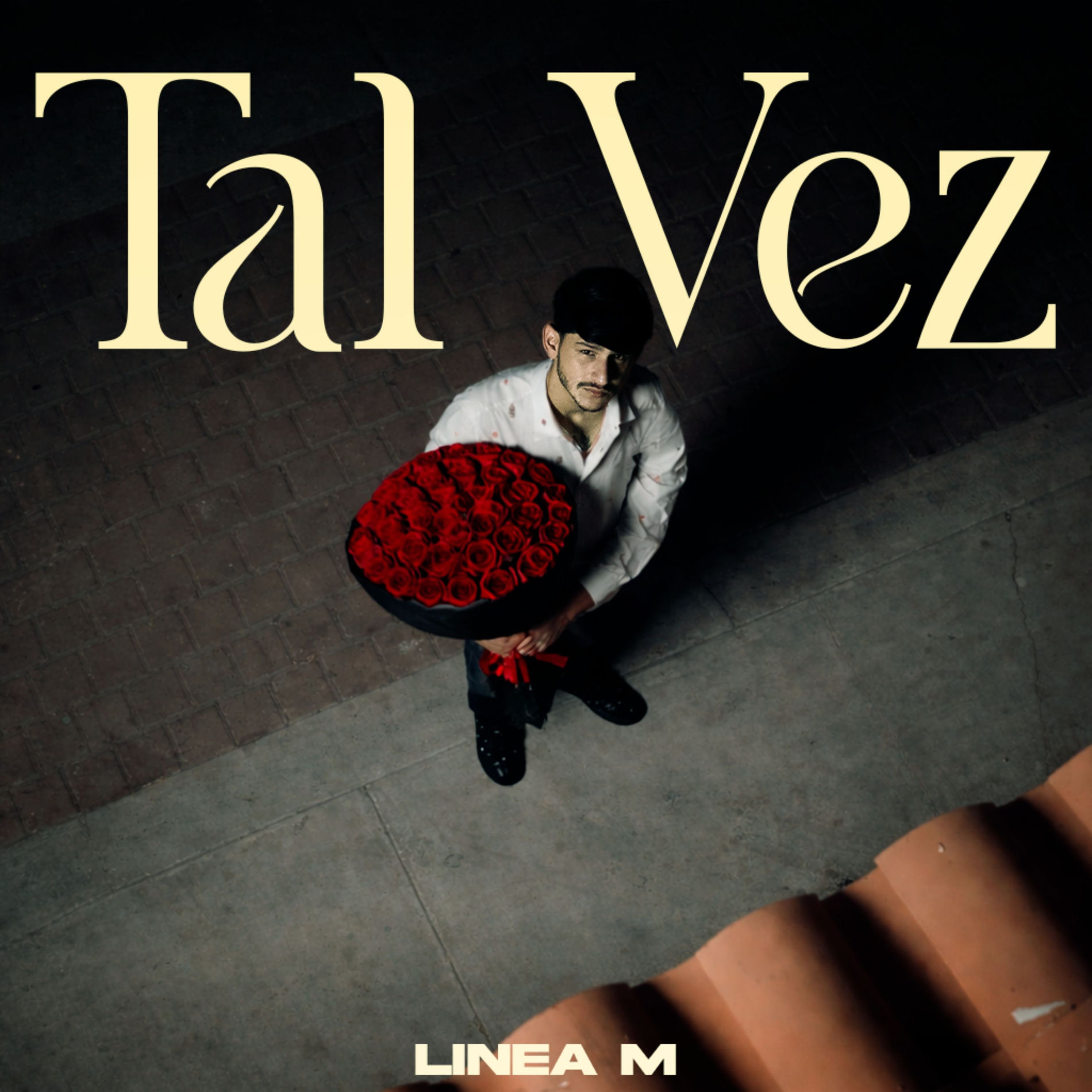 Album cover of Tal Vez