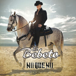 Cover of No Que No (Banda Y Tololoche)