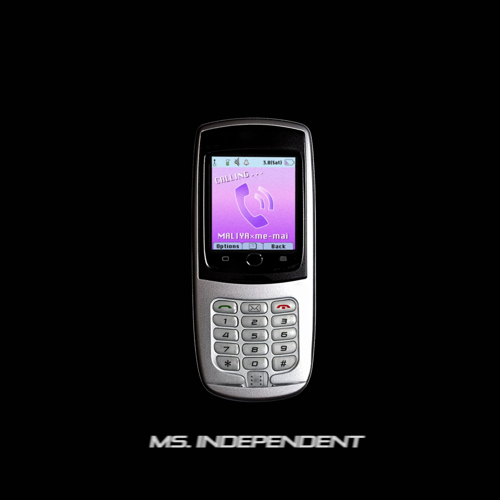 Album cover of Ms.Independent