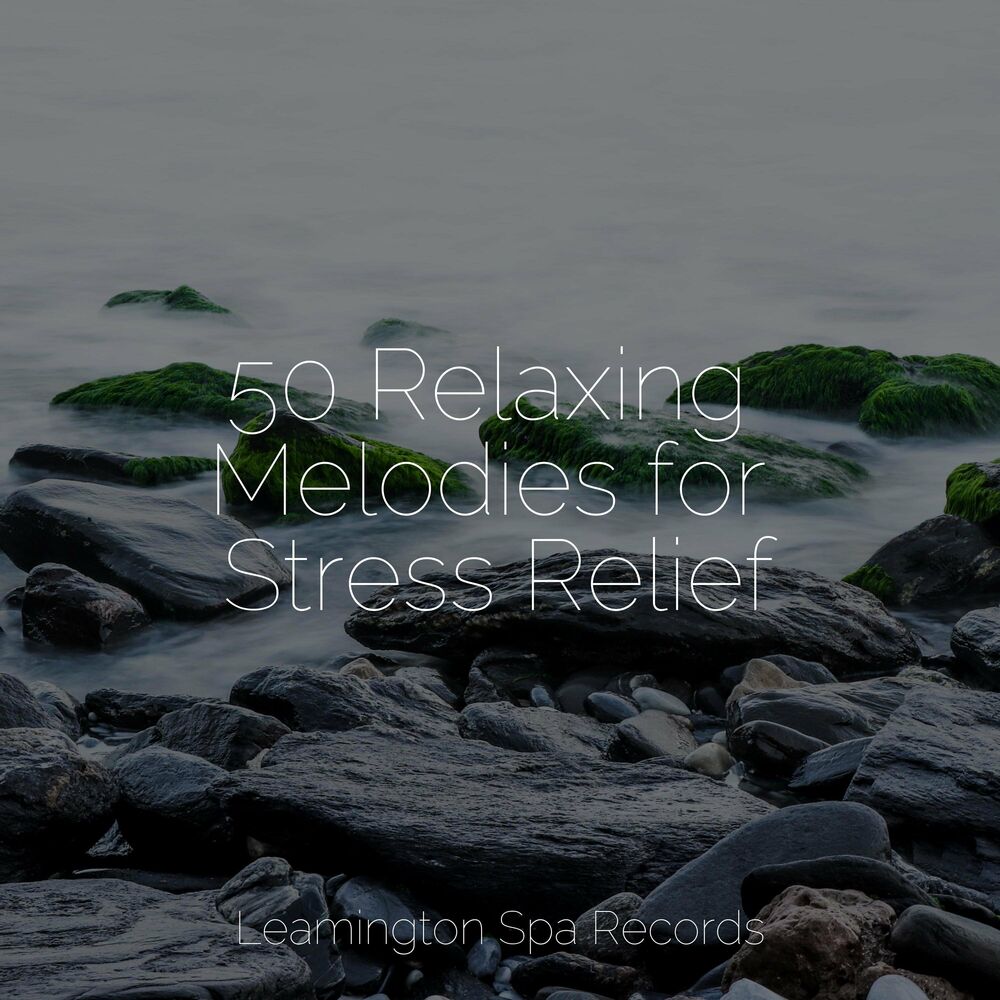 Picture of 50 Relaxing Melodies for Stress Relief