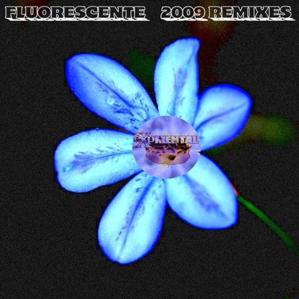 Picture of Fluorescente 2009 Remixes