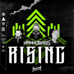 Cover of Rising