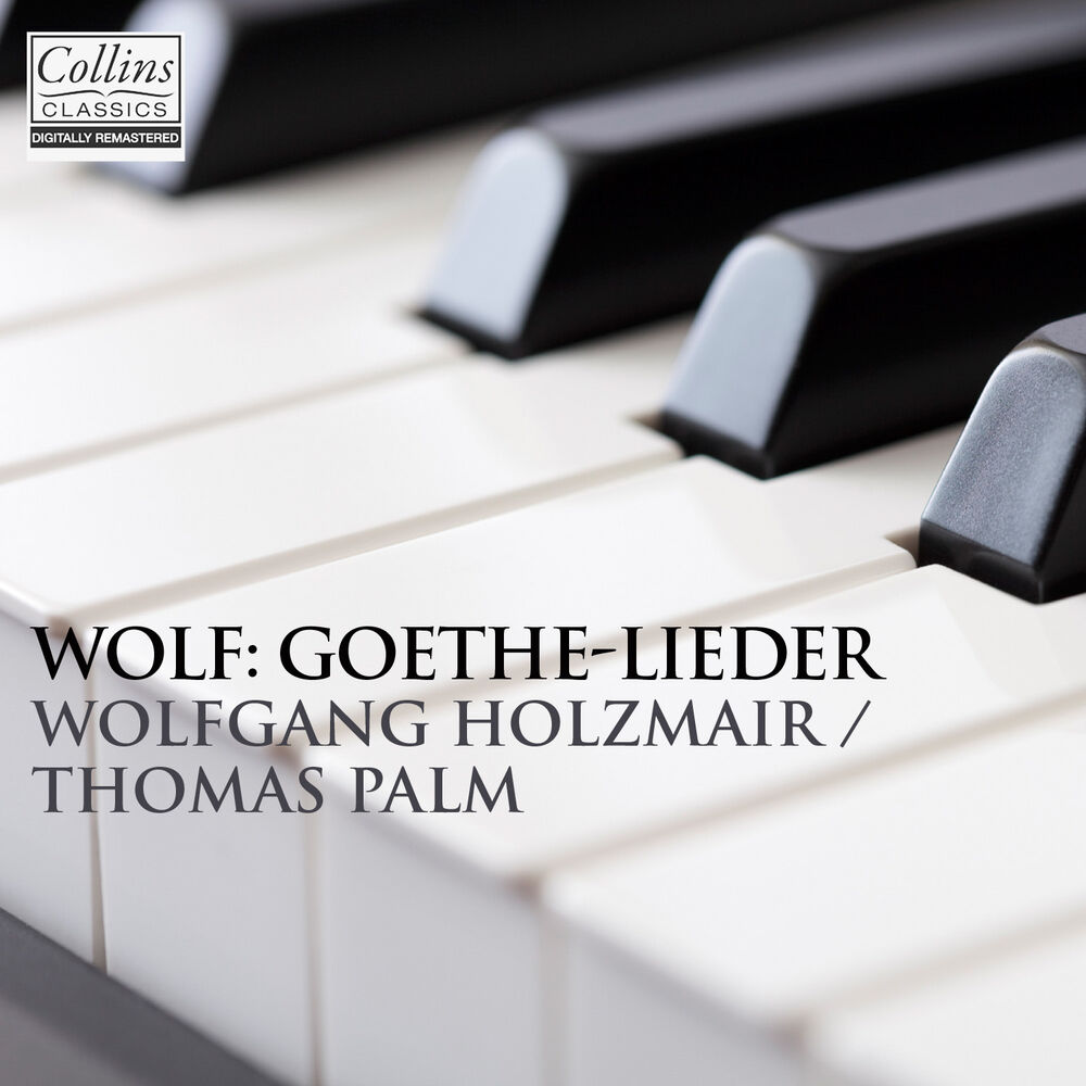 Picture of Wolf: Goethe Lieder