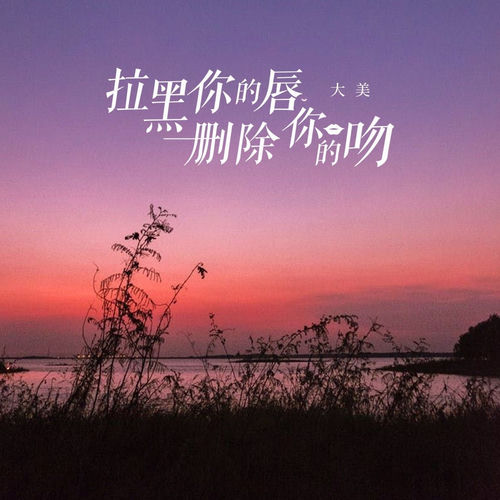 拉黑你的唇删除你的吻 (Dj沈念版)