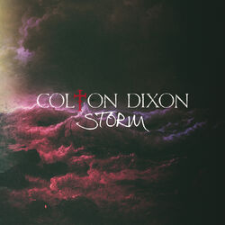 Cover of Storm