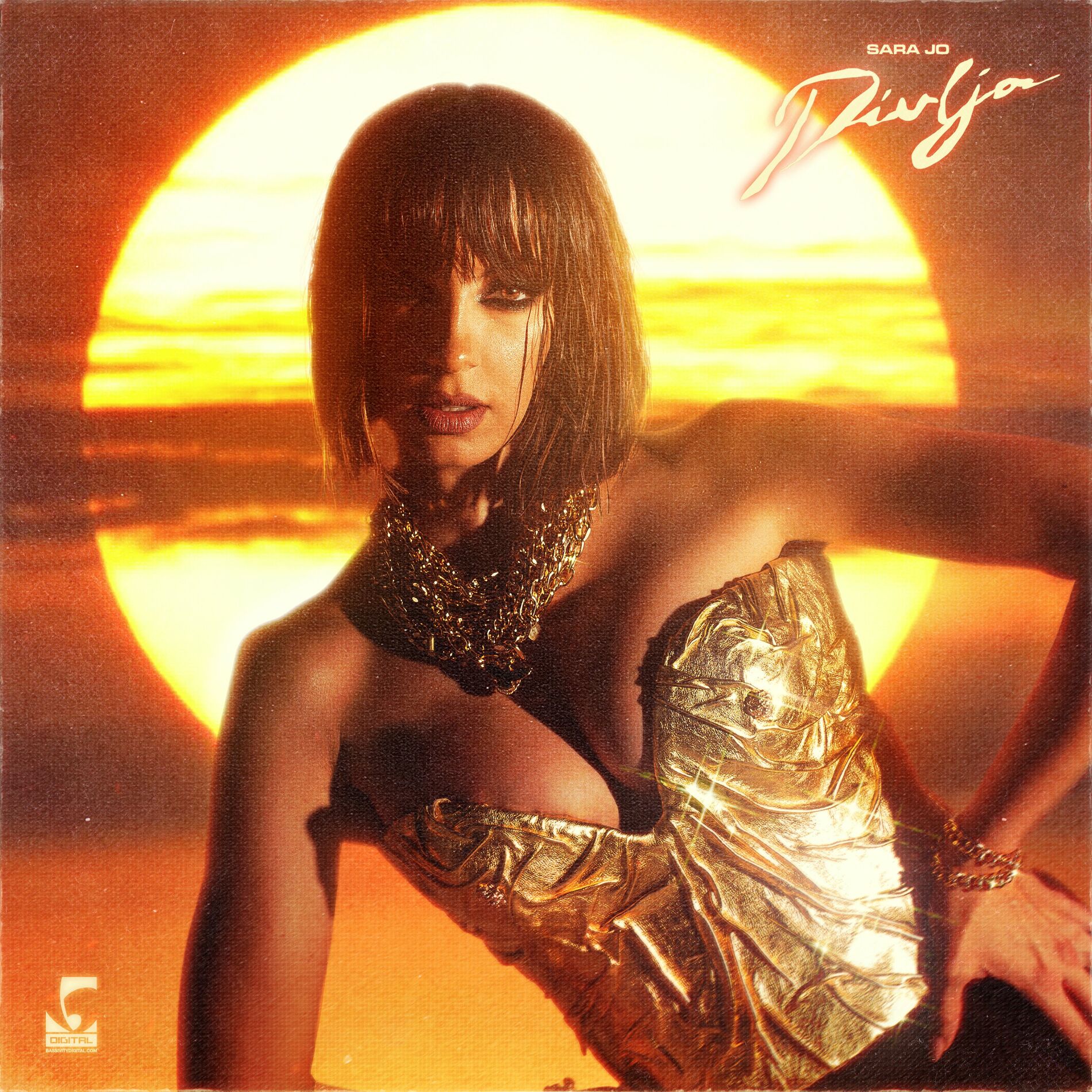 Album cover of Divlja