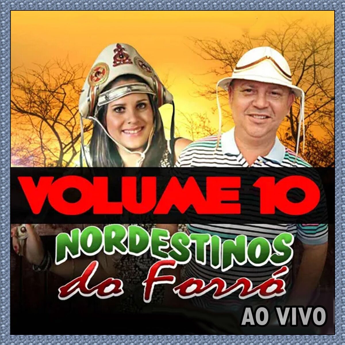 Album cover of Volume 10 - Ao Vivo