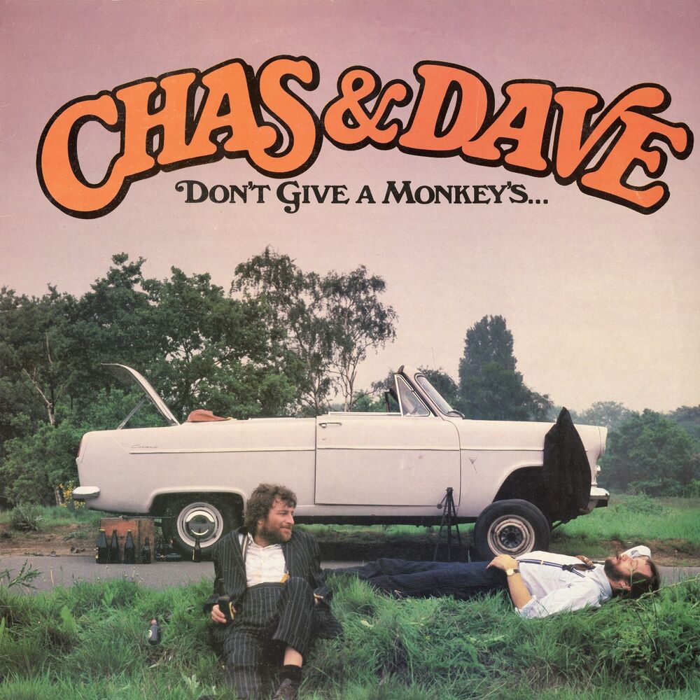 Picture of Don't Give a Monkey's