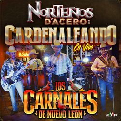Cover of Norteños D'Acero: Cardenaleando (En Vivo)