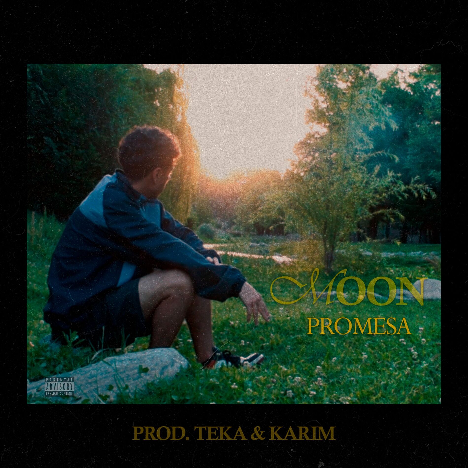 Album cover of Promesa