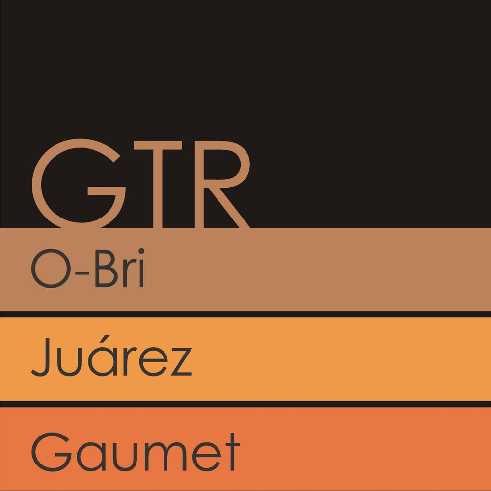 Picture of Gtr