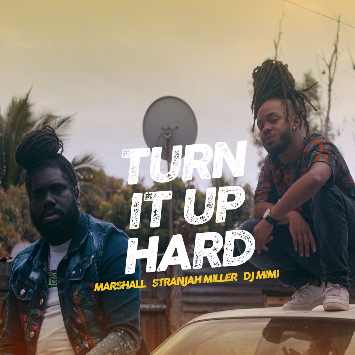 Album cover of Turn It up Hard