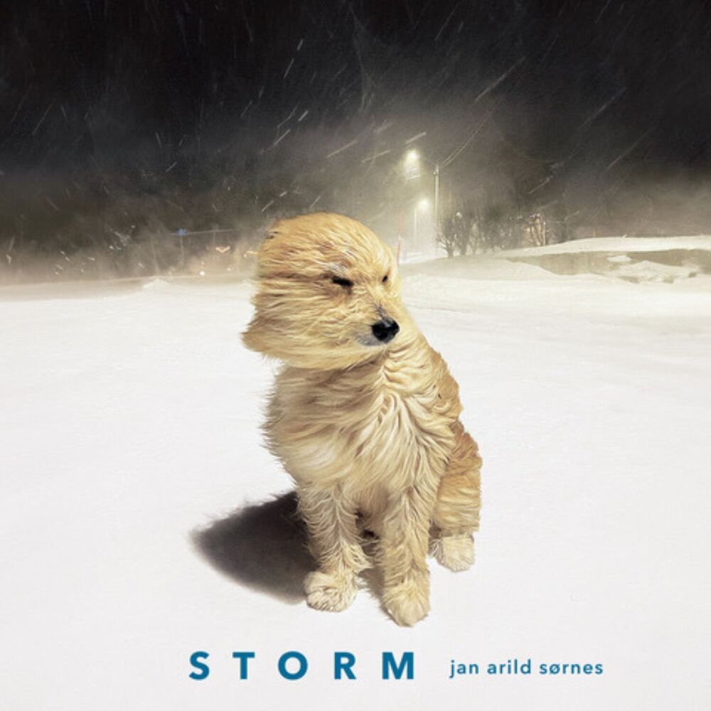 Picture of STORM