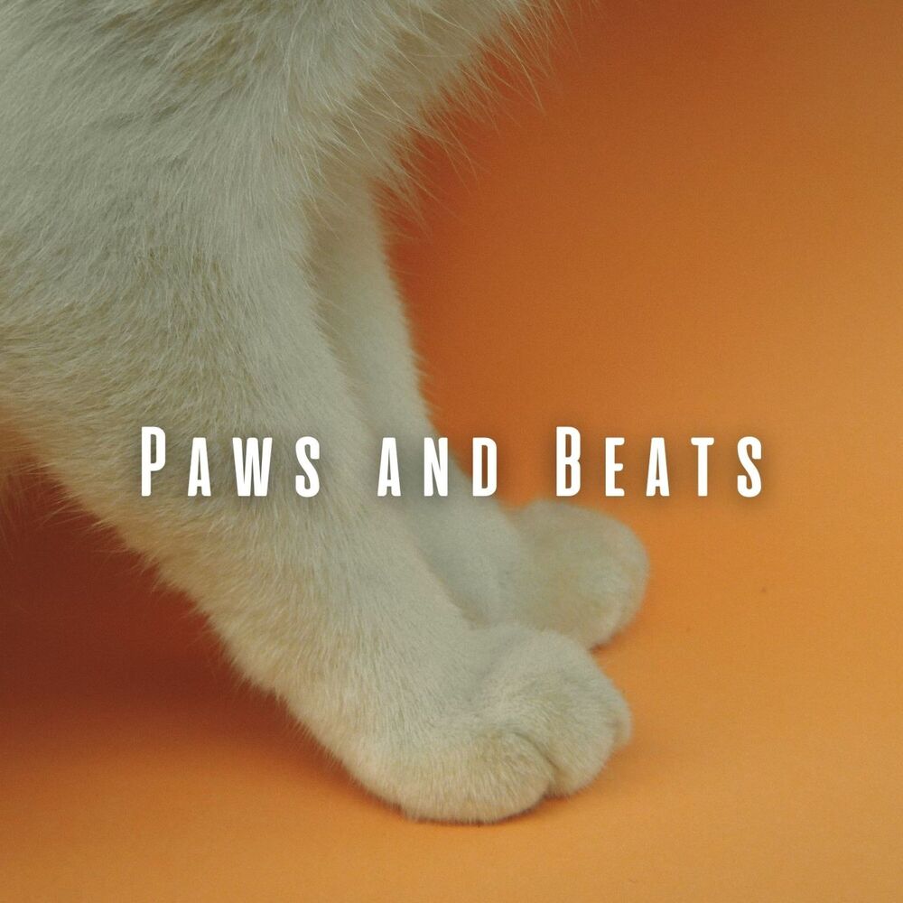Picture of Paws and Beats: Lofi Pet Rhythms