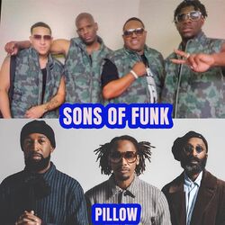Cover of Pillow