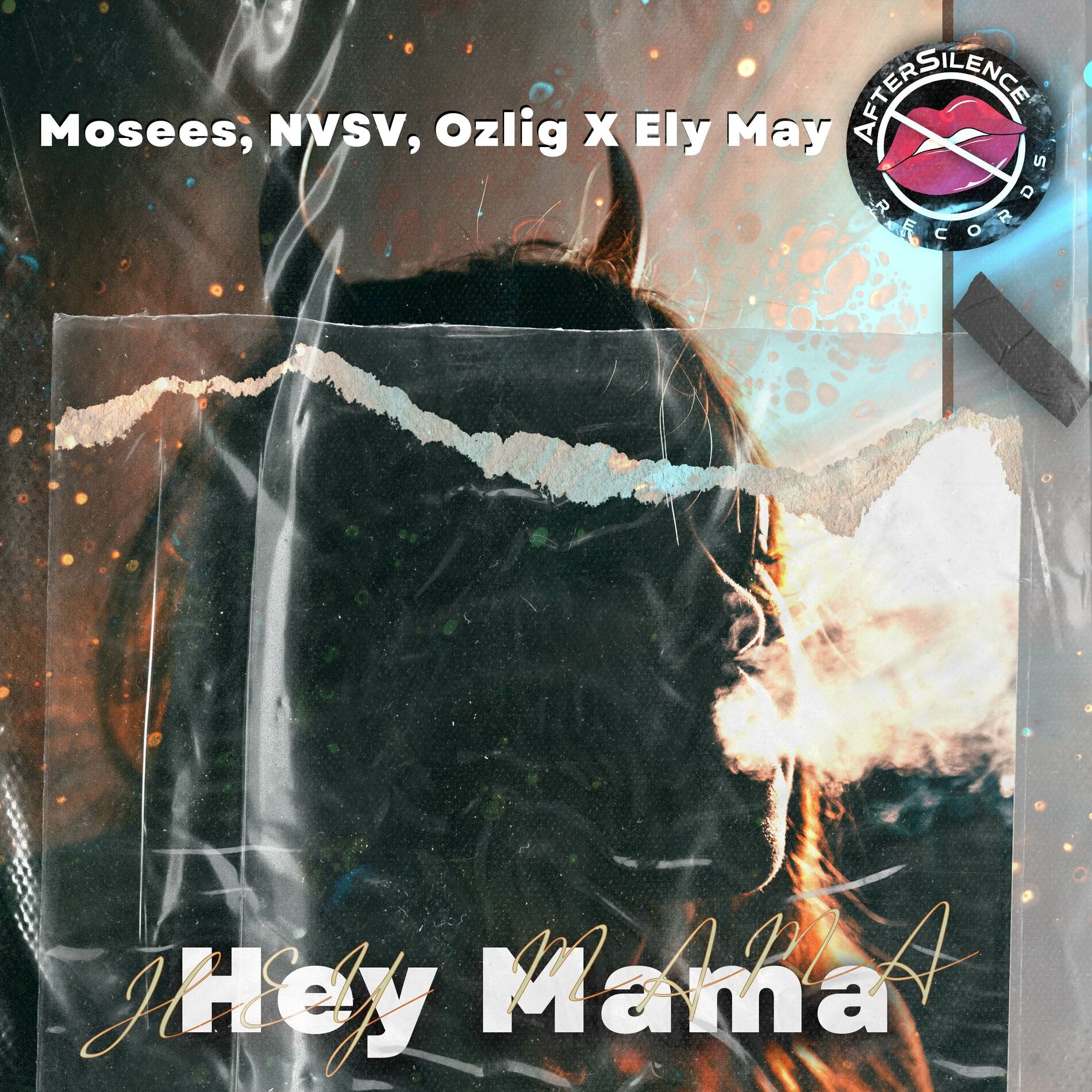 Album cover of Hey Mama