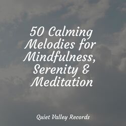 Cover of 50 Calming Melodies for Mindfulness, Serenity & Meditation