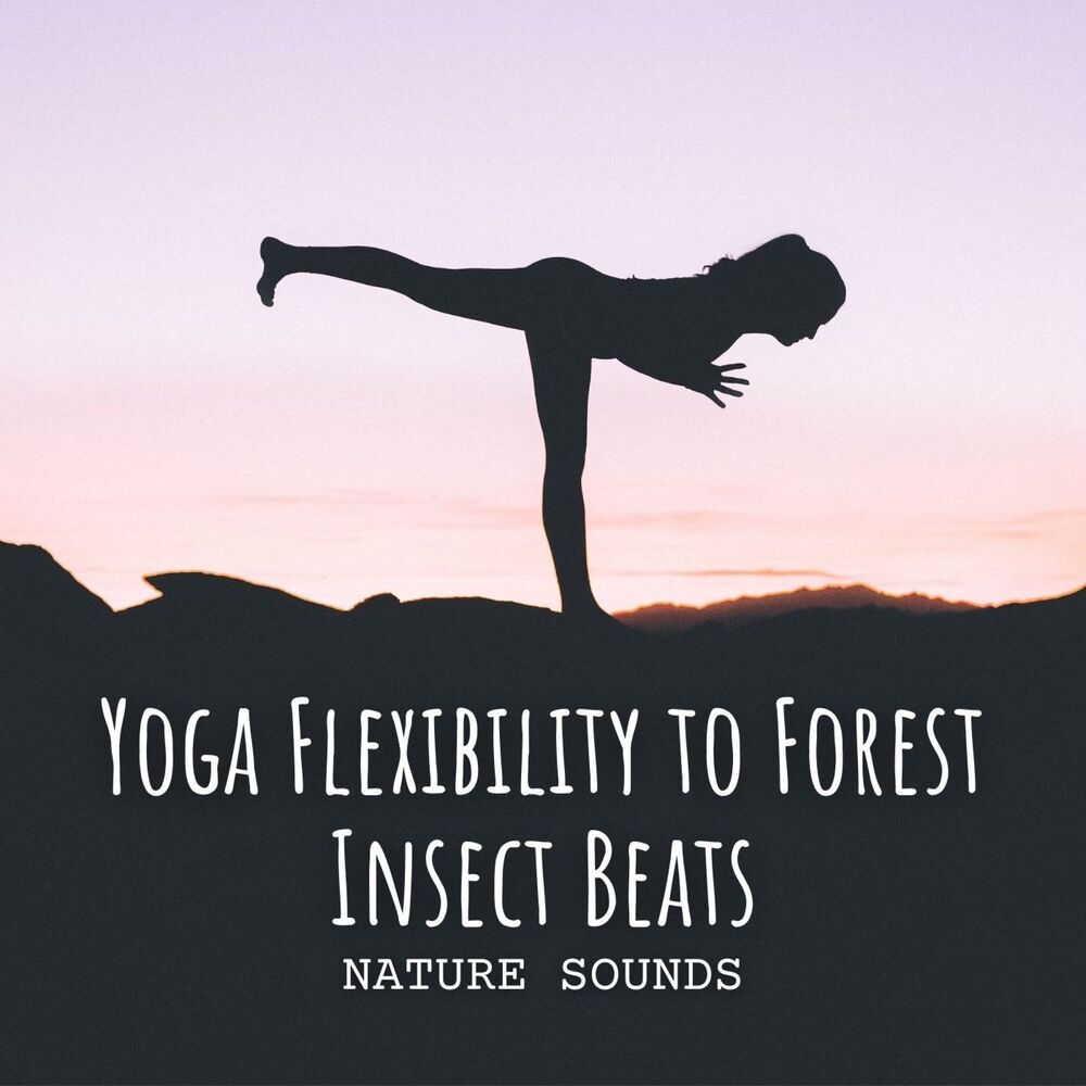 Picture of Nature Sounds: Yoga Flexibility to Forest Insect Beats
