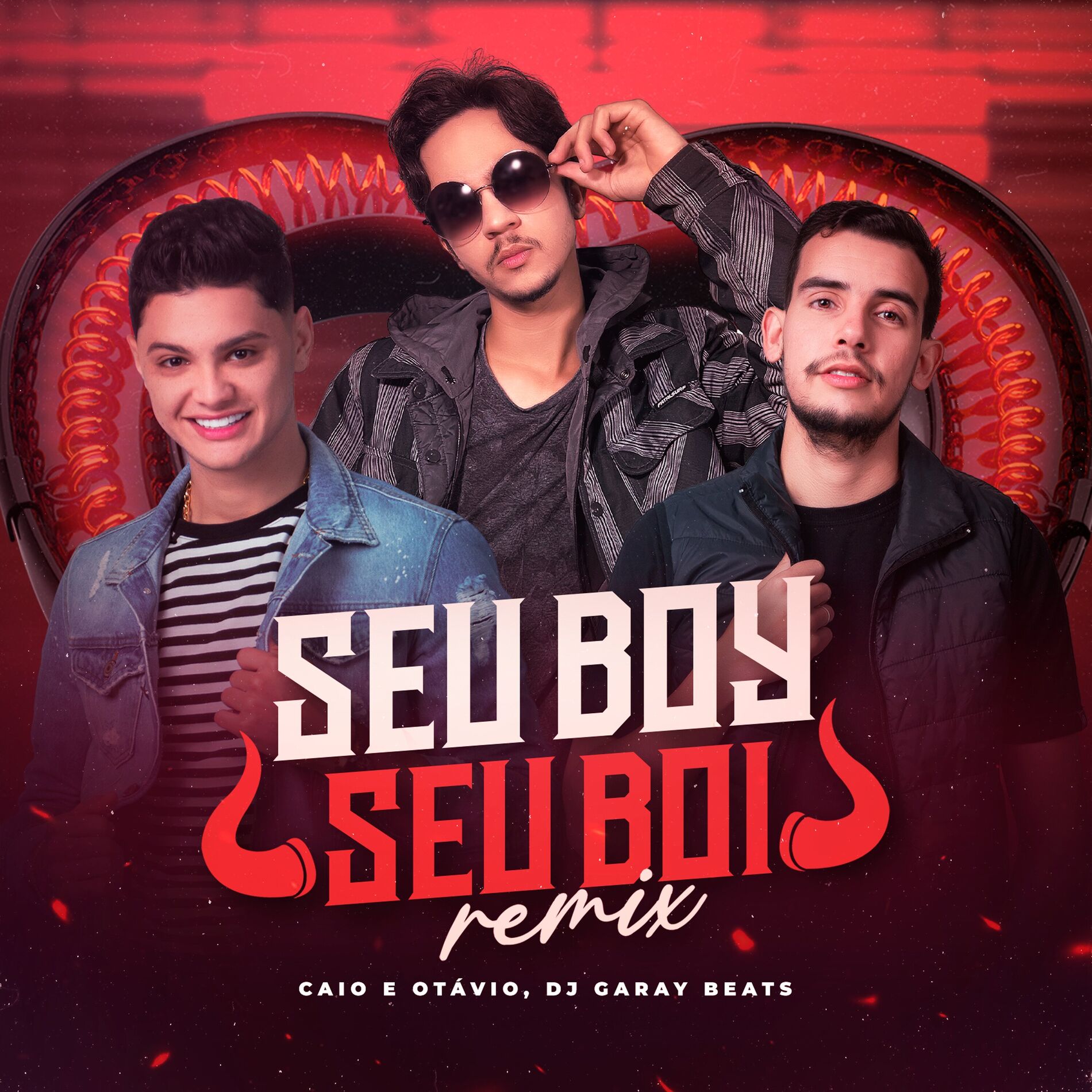 Album cover of Seu Boy, Seu Boi - Remix