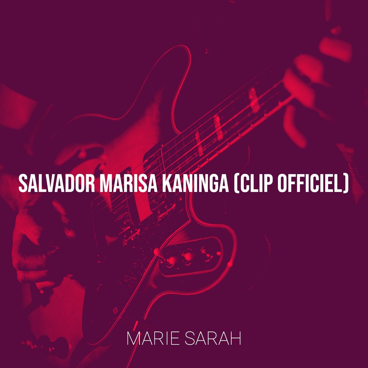 Album cover of SALVADOR Marisa Kaninga (clip officiel)