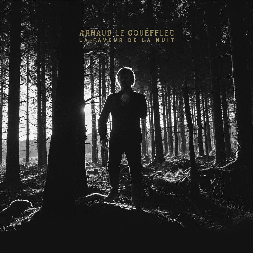 Picture of La Faveur de la Nuit