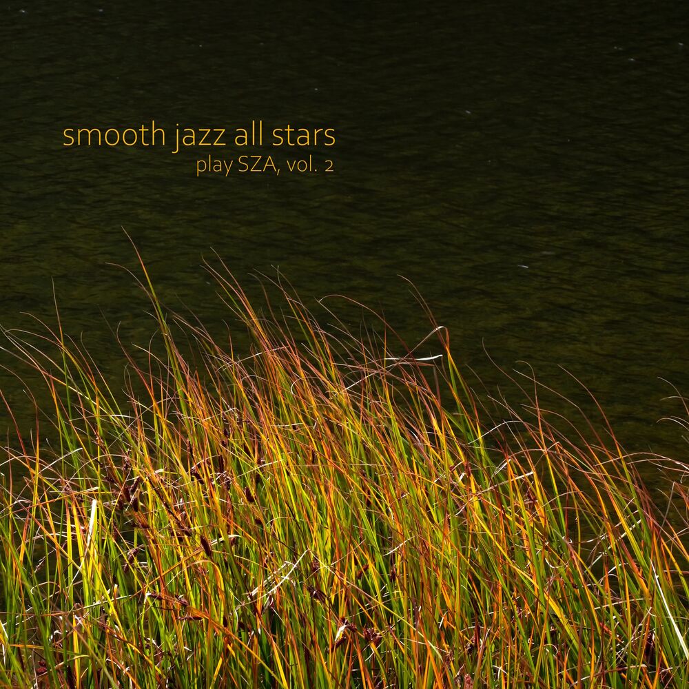 Picture of Smooth Jazz All Stars Play SZA, Vol. 2 (Instrumental)