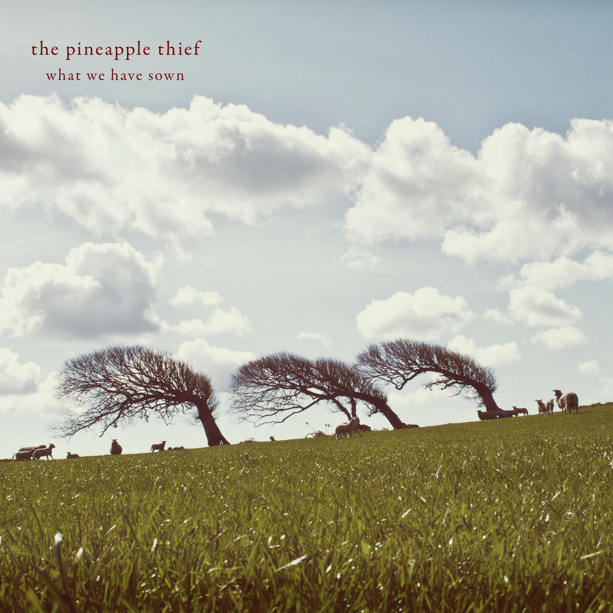 Album cover of What We Have Sown (Remastered)