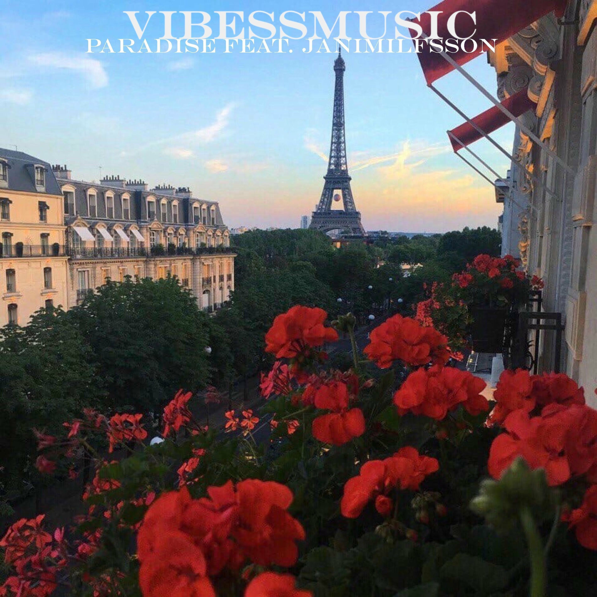 Album cover of Paradise (feat. Janimilfsson)