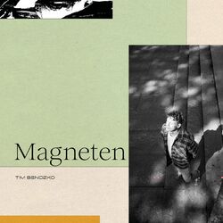Cover of Magneten