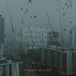 Cover of 50 Relajantes Sonidos De La Naturaleza Para Spa & Vibes