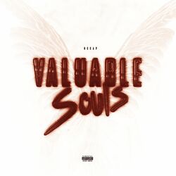 Cover of Valuable Souls