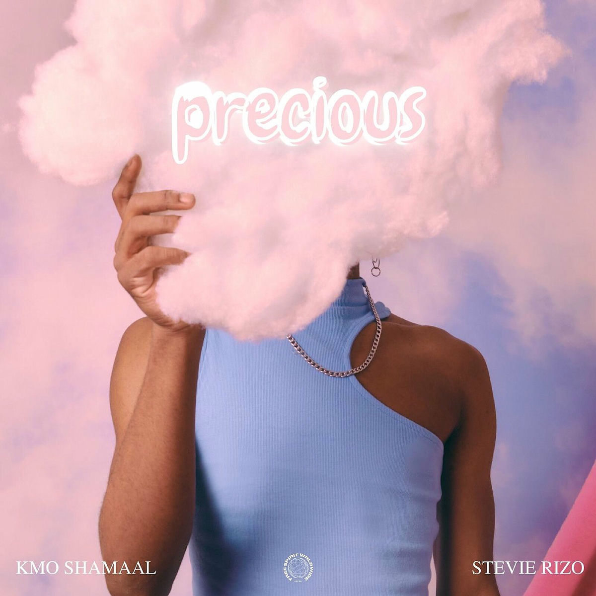 Album cover of Precious
