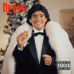 Cover of Fly Pain