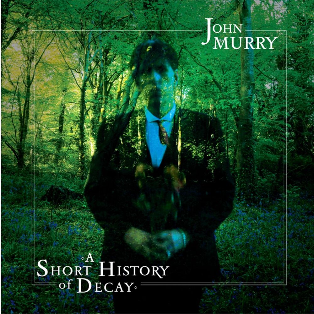 Picture of A Short History of Decay