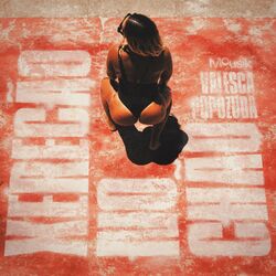 Cover of Xerecão no Chão