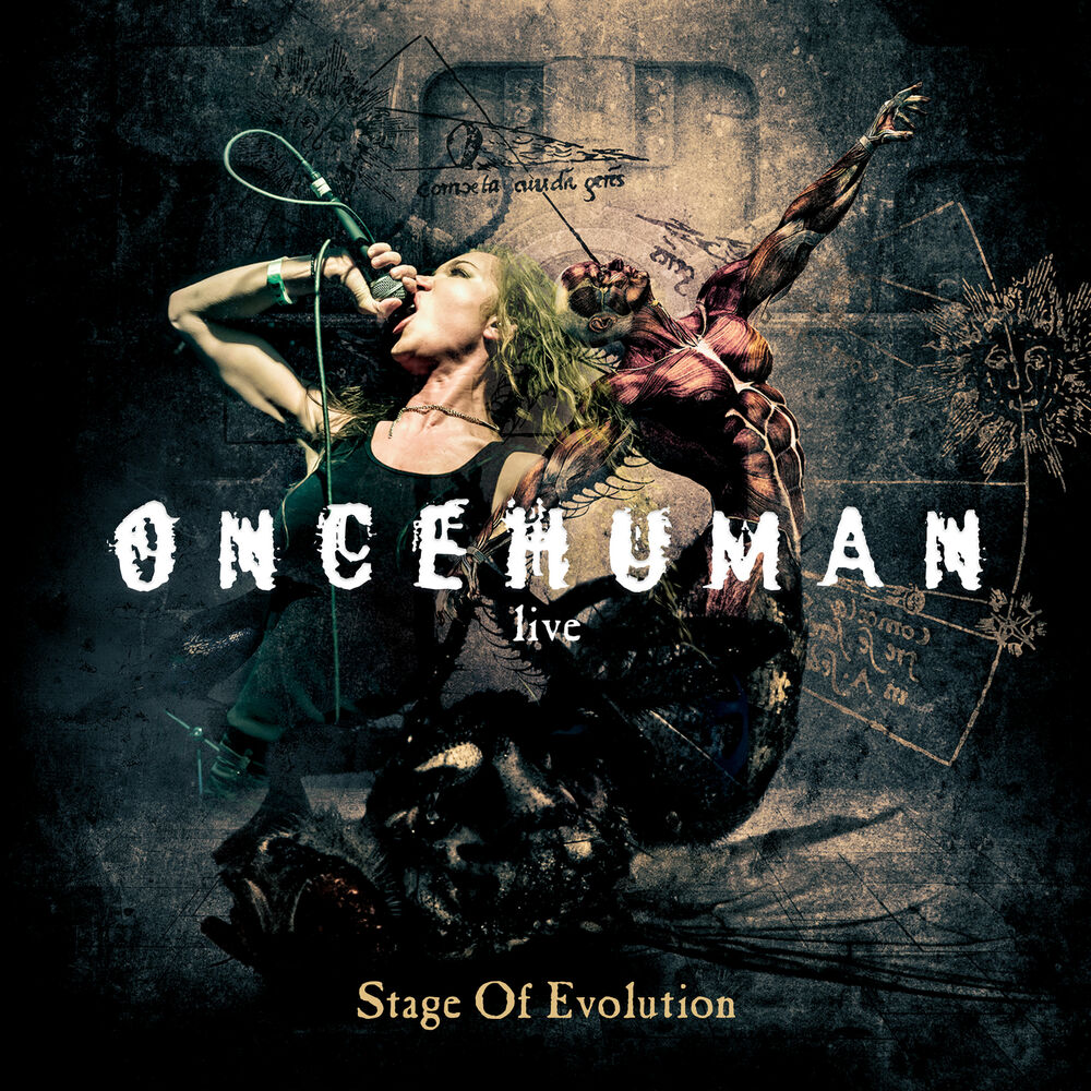 Picture of Stage of Evolution (Live)