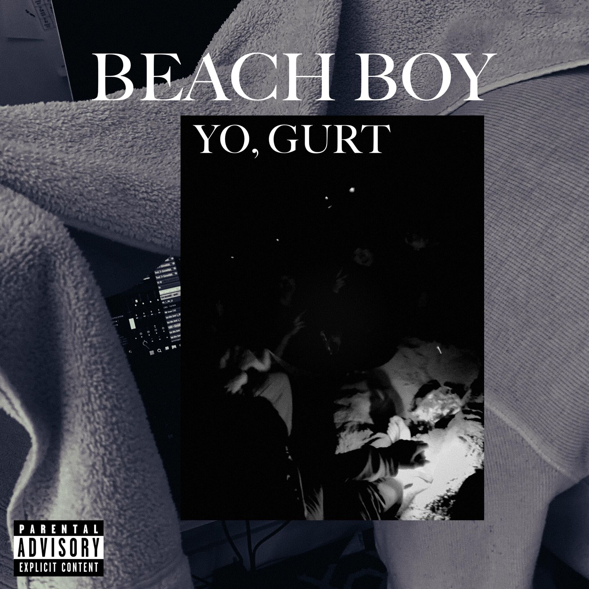 Album cover of Beach Boy