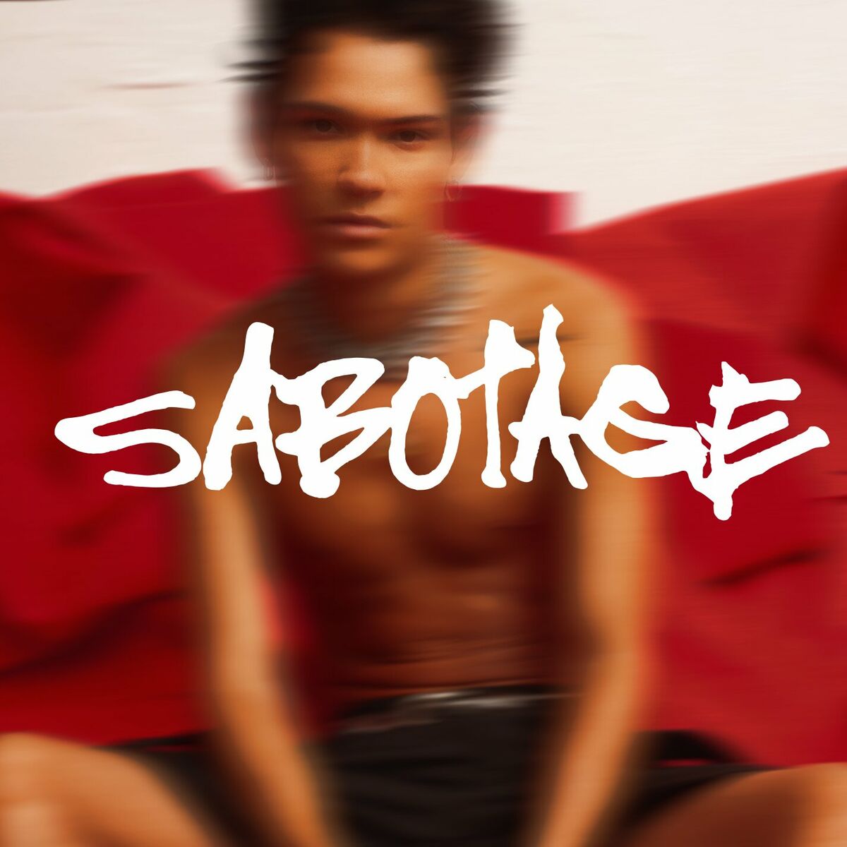 Album cover of Sabotage