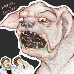 music cover