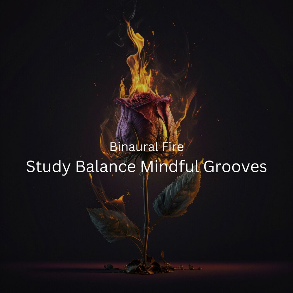 Picture of Binaural Fire: Study Balance Mindful Grooves