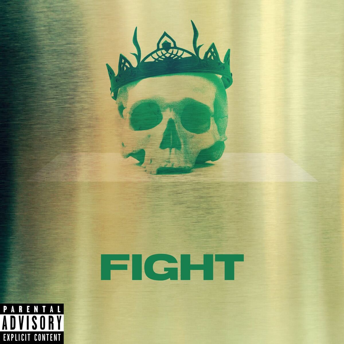 Album cover of Fight