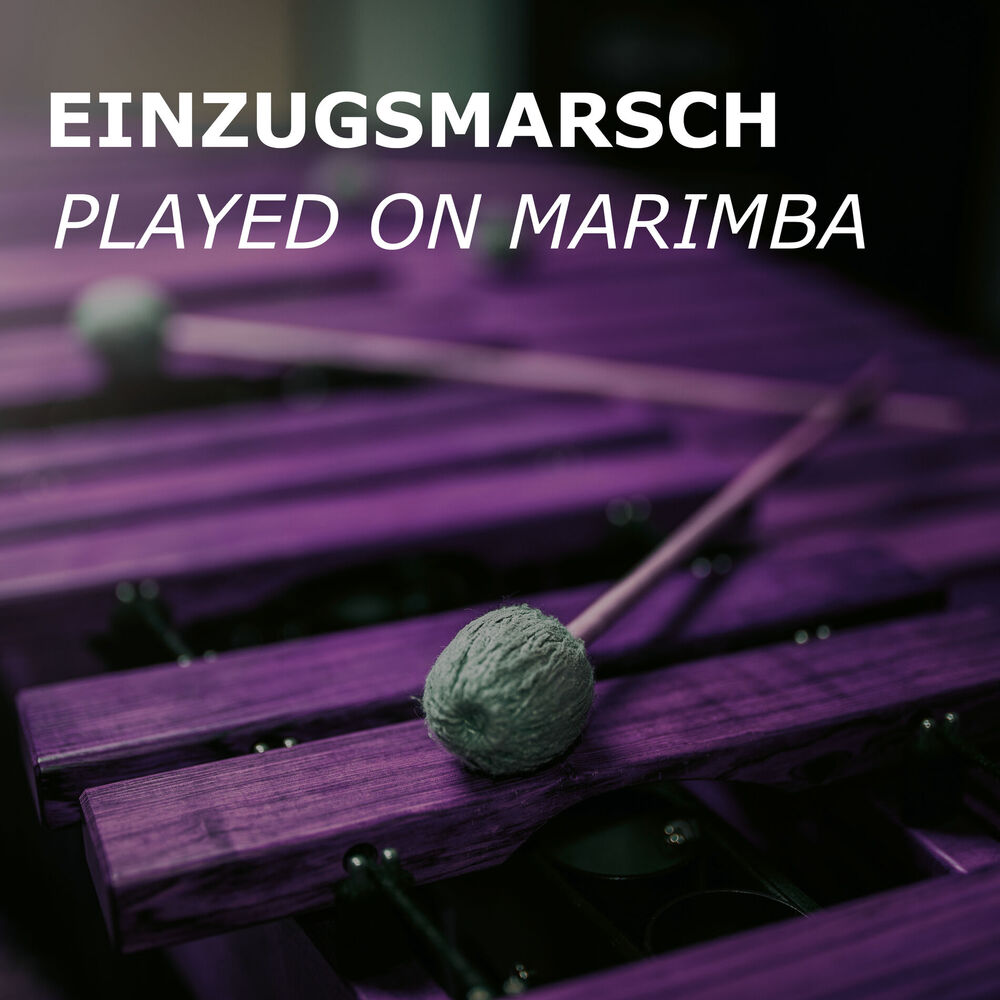 Picture of Einzugsmarsch (played on Marimba)