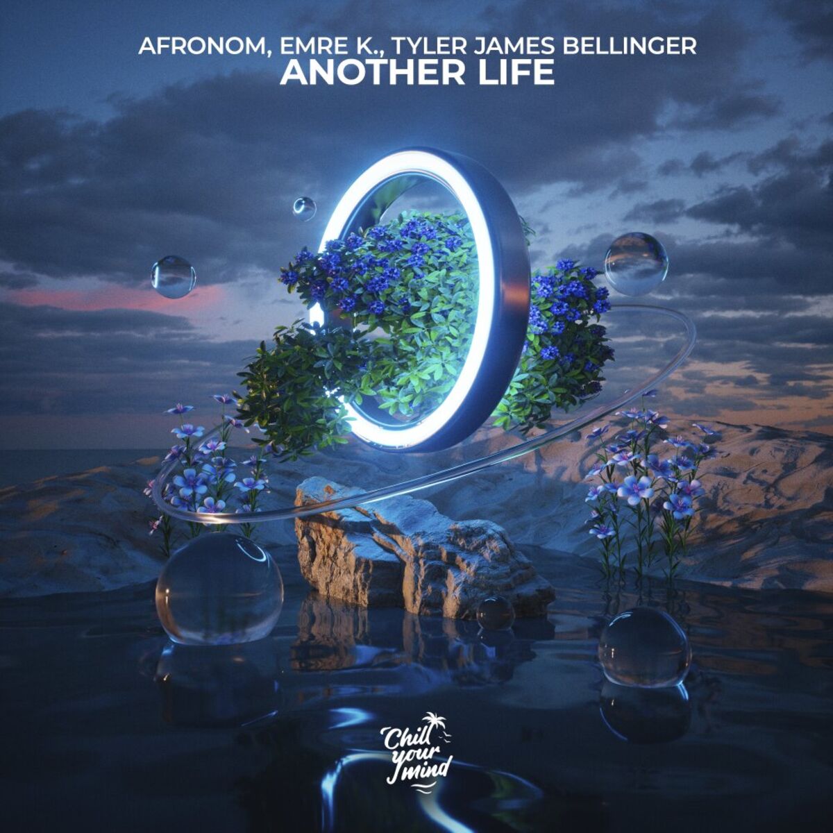 Album cover of Another Life