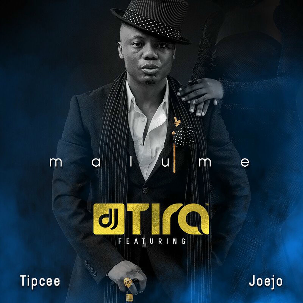 Album cover of Malume