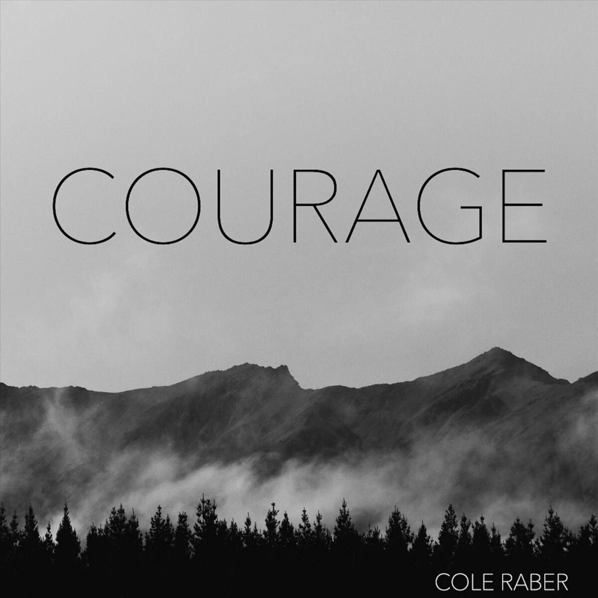 Album cover of Courage